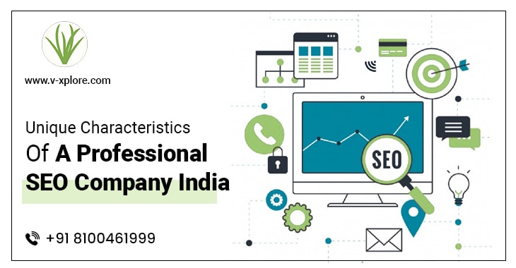 Unique Characteristics Of A Professional SEO Company India