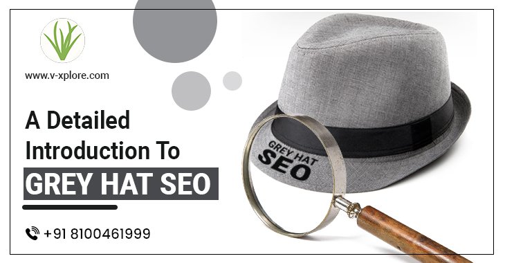 A Detailed Introduction To Grey Hat SEO