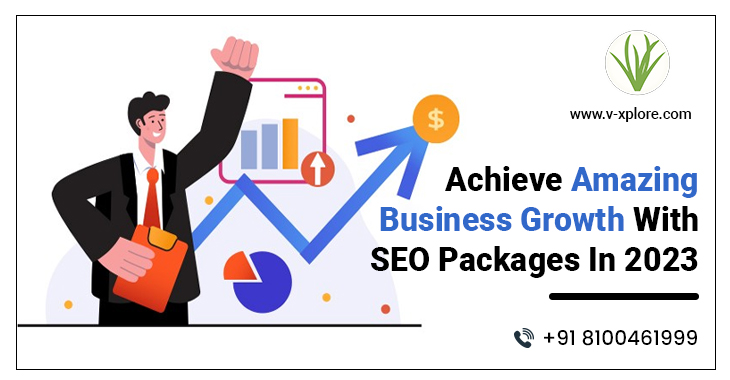 Achieve Amazing Business Growth With SEO Packages In 2023