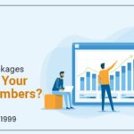Can SEO Packages Increase Your Sales Numbers?