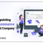 Guide To Appointing Custom Ecommerce Development Company