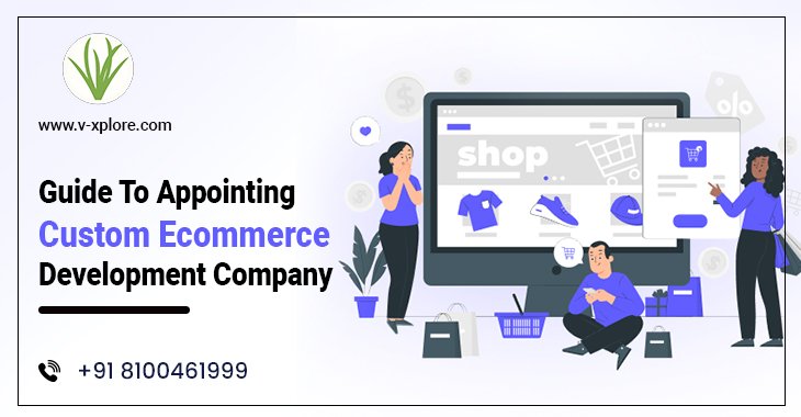Guide To Appointing Custom Ecommerce Development Company