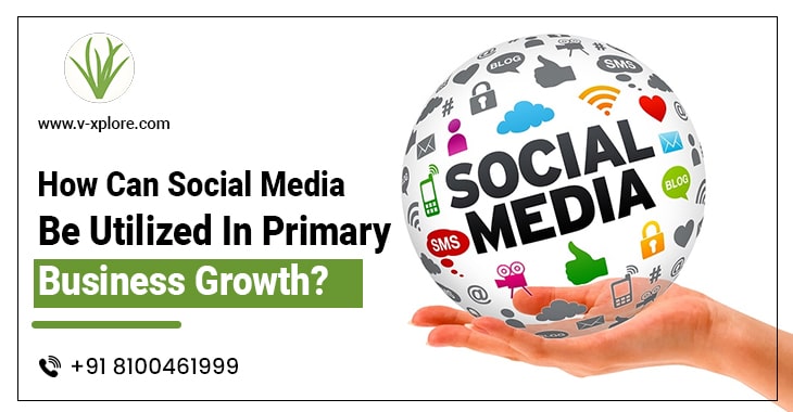 How Can Social Media Be Utilized In Primary Business Growth?