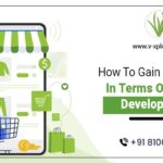 How To Gain Momentum In Terms Of Shopify Development?
