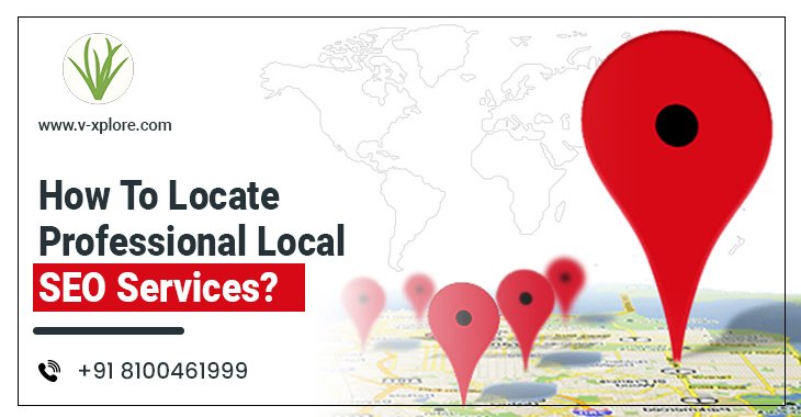 How To Locate Professional Local SEO Services?
