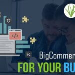 Set Up BigCommerce Course For Your Business