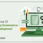 The Importance Of User-Friendly Ecommerce Website Development