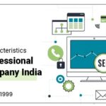 Unique Characteristics Of A Professional SEO Company India