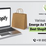 Various Ways To Emerge As The Country’s Best Shopify Developer