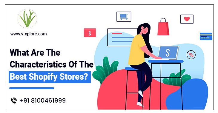 What Are The Characteristics Of The Best Shopify Stores?
