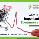 What Is Most Important For An Ecommerce Website?