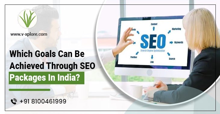 Which Goals Can Be Achieved Through SEO Packages In India?