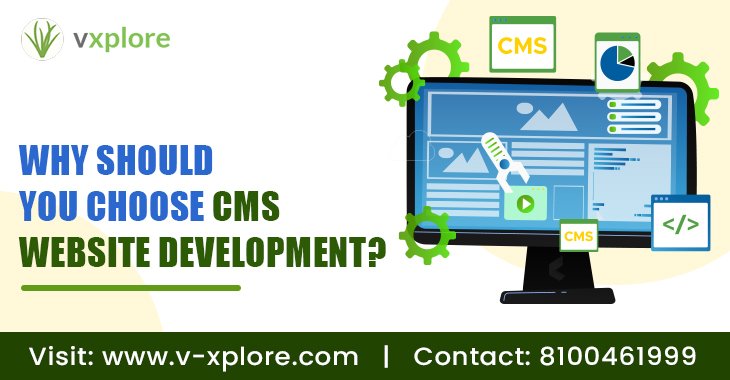 Why Should You Choose CMS Website Development?