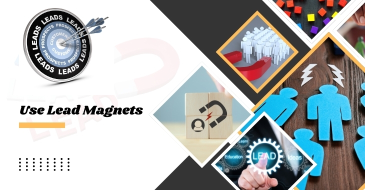 Use Lead Magnets