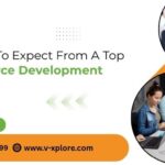 Features To Expect From A Top Ecommerce Development Company