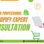 What To Expect From A Professional Shopify Expert Consultation