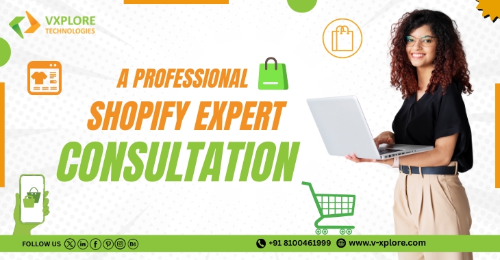 What To Expect From A Professional Shopify Expert Consultation