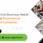 Why Your Online Business Needs A Professional Ecommerce Development Company