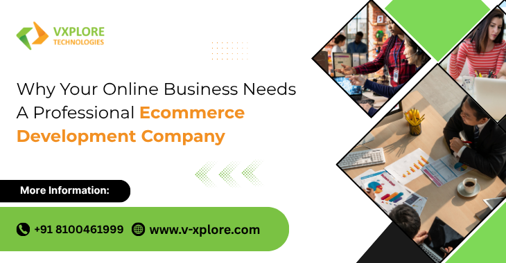 Why Your Online Business Needs A Professional Ecommerce Development Company