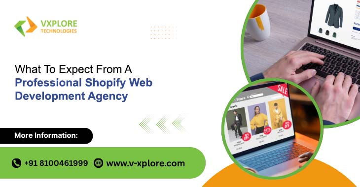 What To Expect From A Professional Shopify Web Development Agency