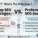 Cheap SEO Packages Vs Professional SEO Services: What’s The Difference?