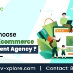 How To Choose The Best Ecommerce Development Agency?