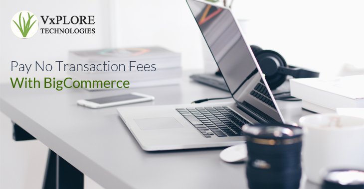 Pay No Transaction Fees With BigCommerce
