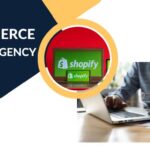 Why Hire A Shopify Agency For Your E-Commerce Business?